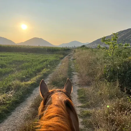 Shqiperide Camping *