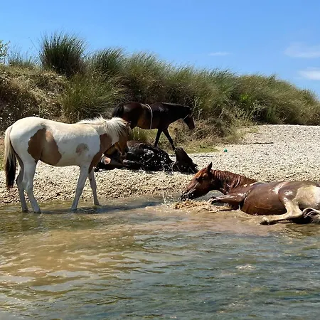 Camping Shqiperide Saranda